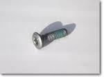 101053 - 0019080306S Bolt (Countersunk) All Models 2009-2012